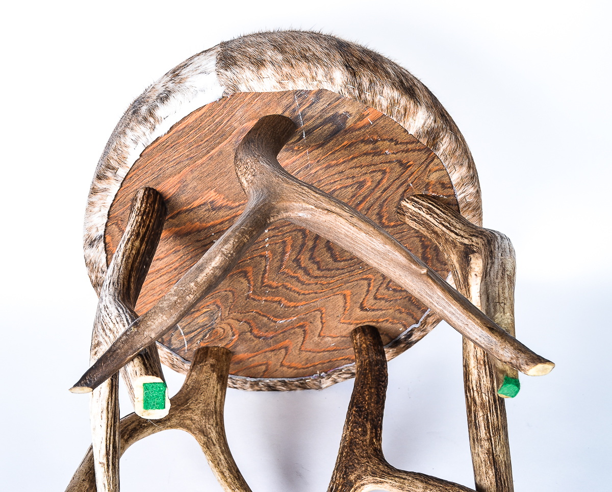 Deer Hide and Antler Footstool