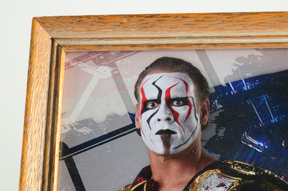 Autographed TNA "Lock Down" picture of "Sting"