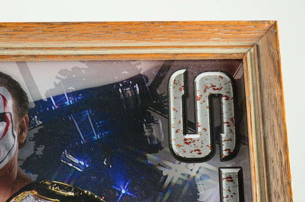 Autographed TNA "Lock Down" picture of "Sting"