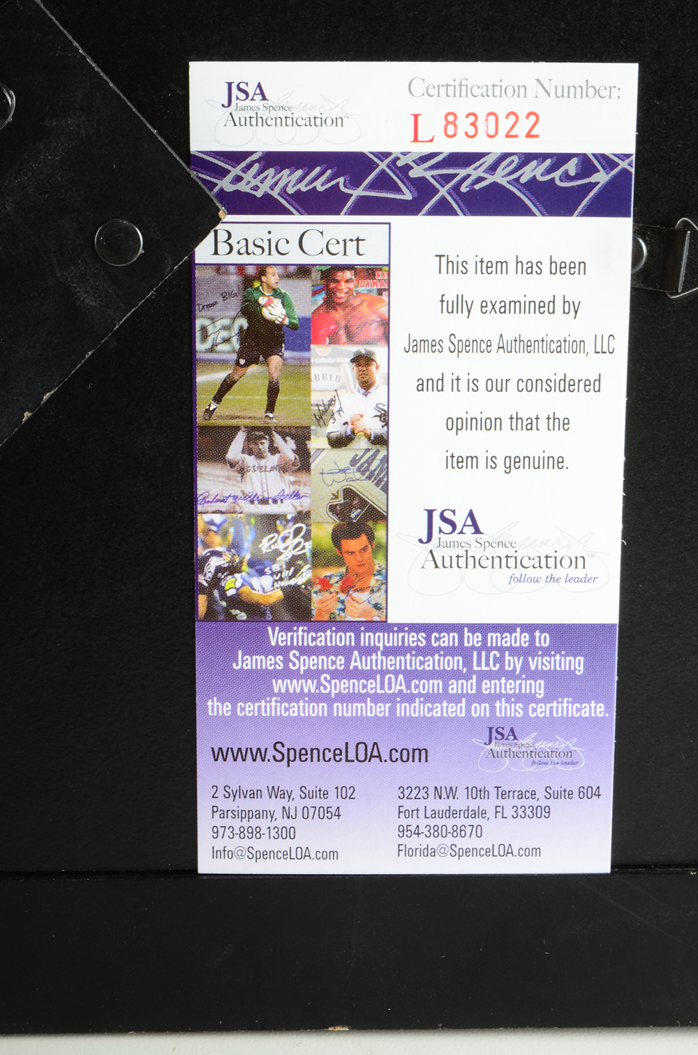 Autographed Panel where "Stan Lee Meets  Spiderman"