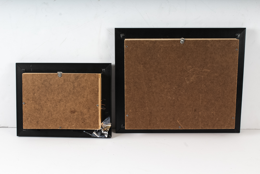 Taxidermy Specimen Pair