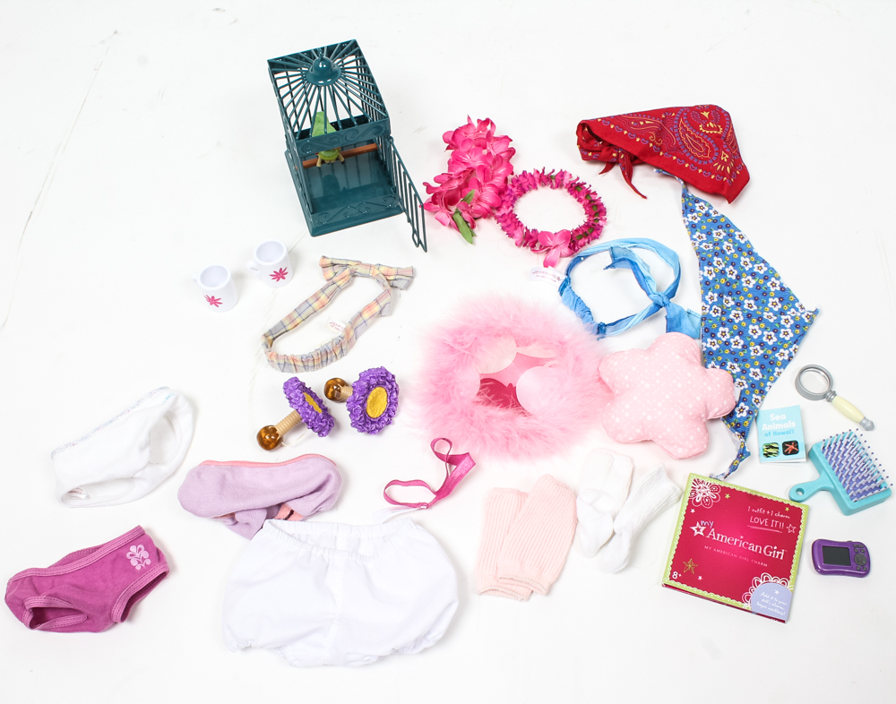 Huge Collection of American Girl Doll Clothing and Assessories