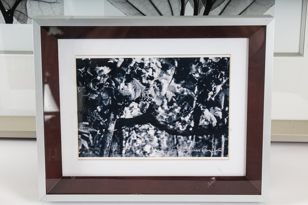 Three Piece Framed Black and White Art