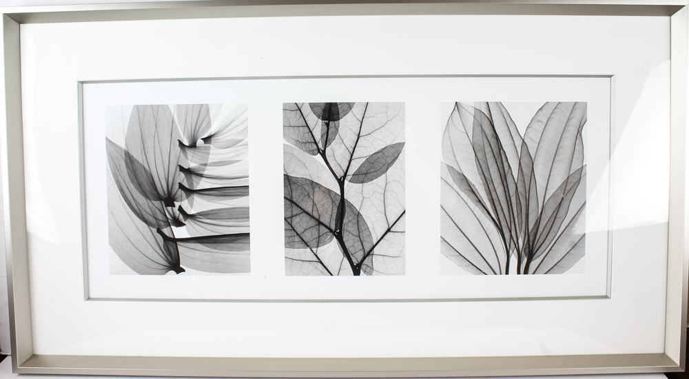 Three Piece Framed Black and White Art