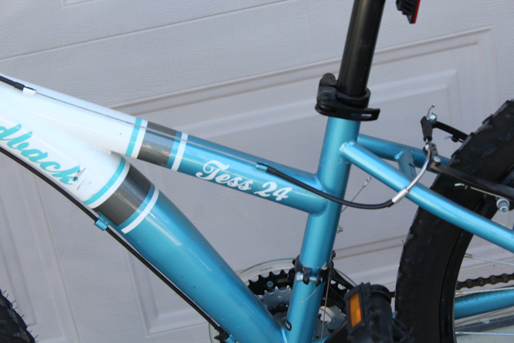 Diamondback Tess 24" Youth Mountain Bike