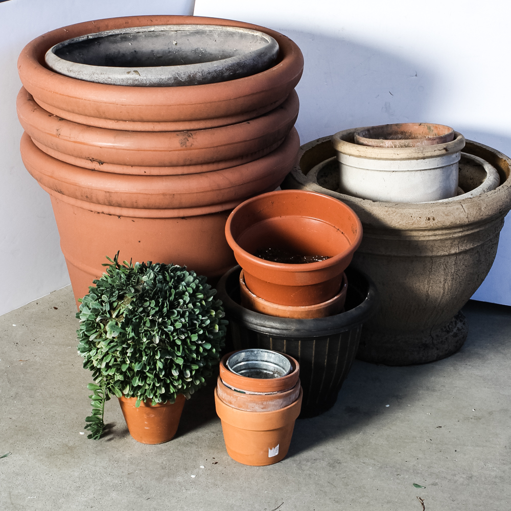 Generous Outdoor Potting Assortment