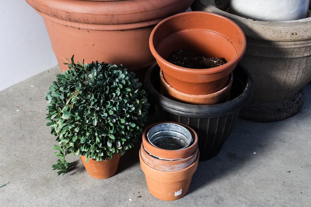 Generous Outdoor Potting Assortment