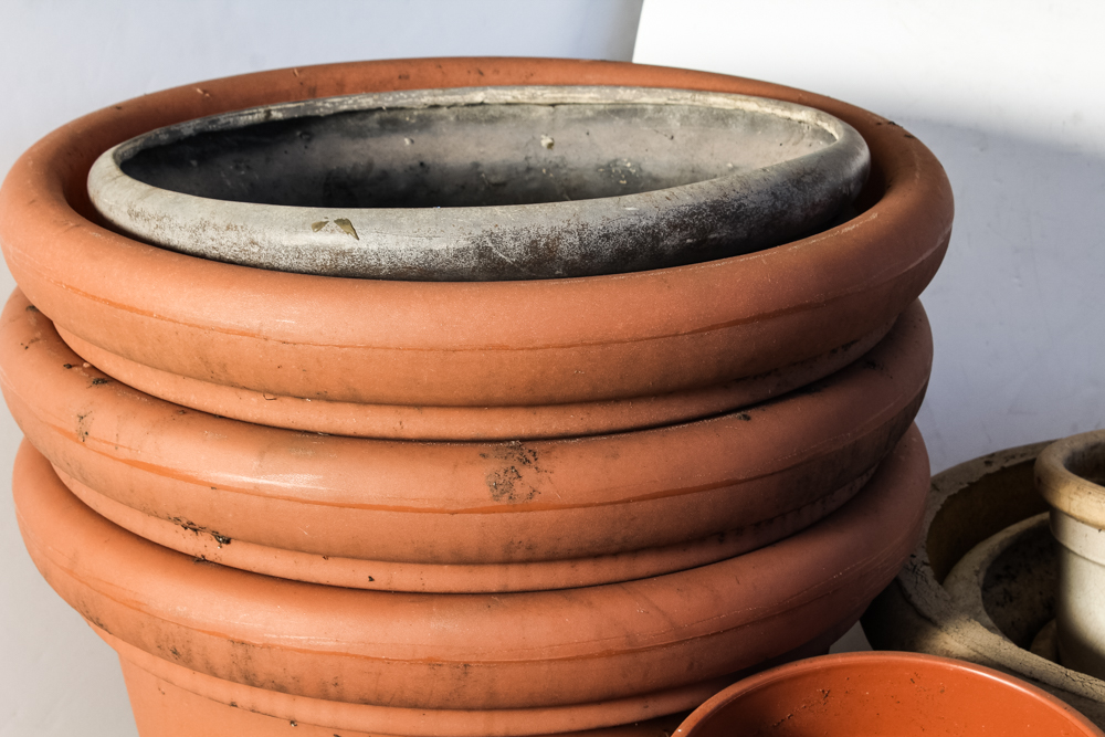 Generous Outdoor Potting Assortment