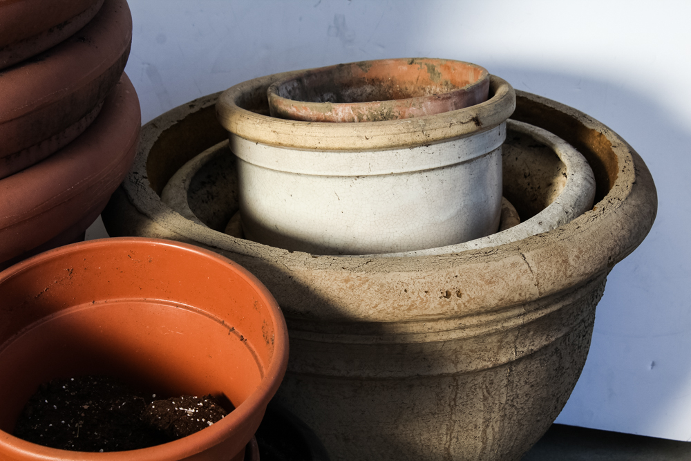 Generous Outdoor Potting Assortment