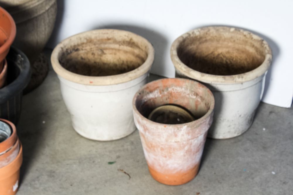 Generous Outdoor Potting Assortment