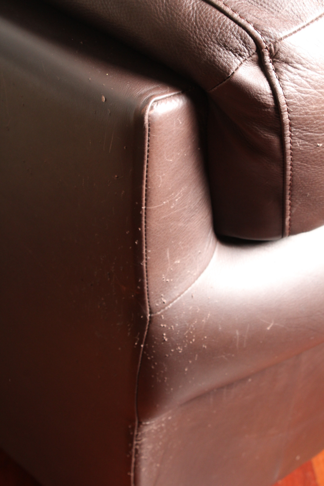 Leather Loveseat