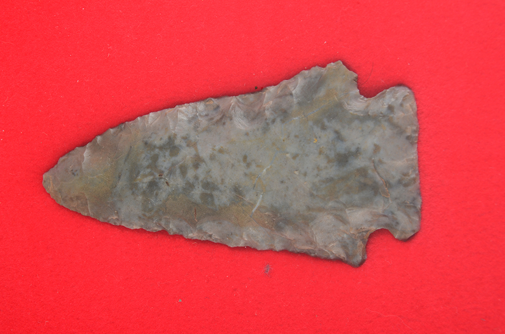 Arrowhead Collection and Rock Specimens