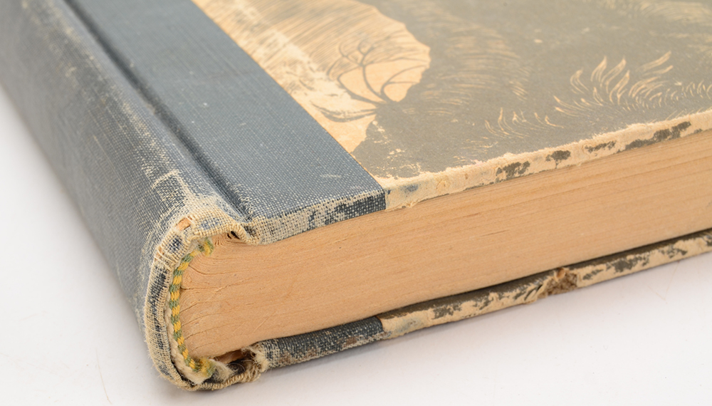 Vintage "Jane Eyre" and "Wuthering Heights"