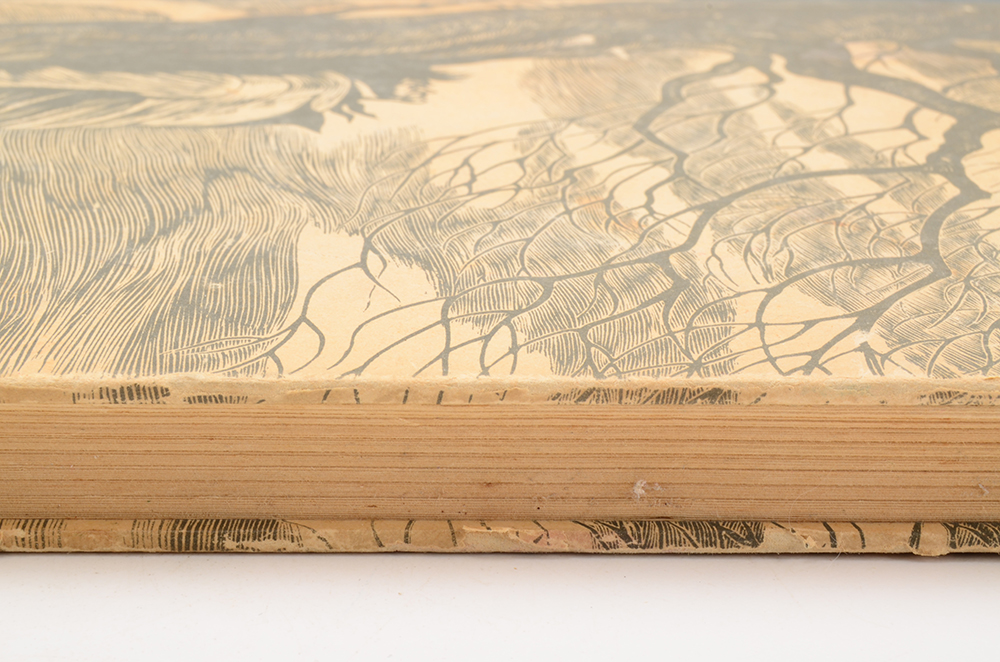 Vintage "Jane Eyre" and "Wuthering Heights"