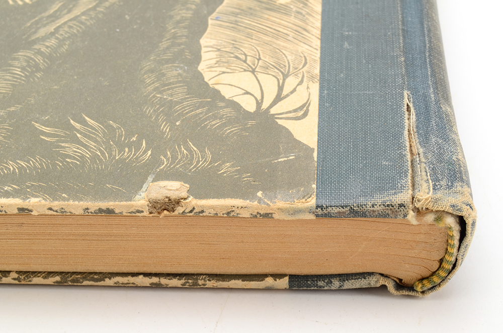 Vintage "Jane Eyre" and "Wuthering Heights"