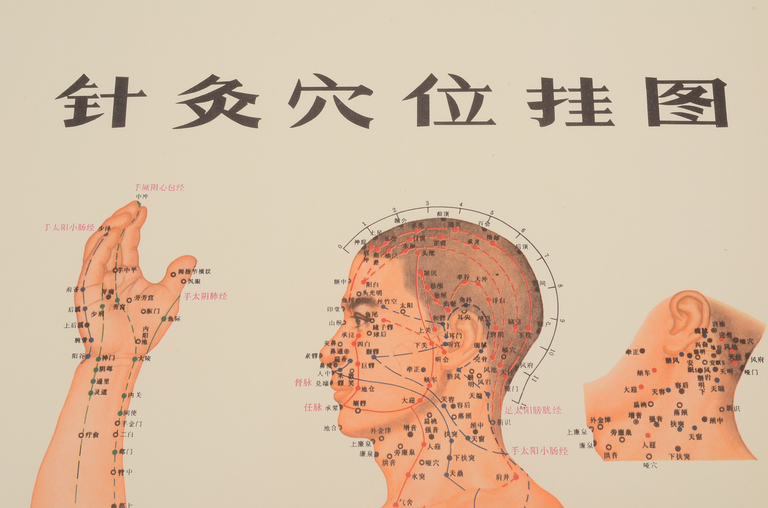 Vintage Chinese Acupuncture Chart