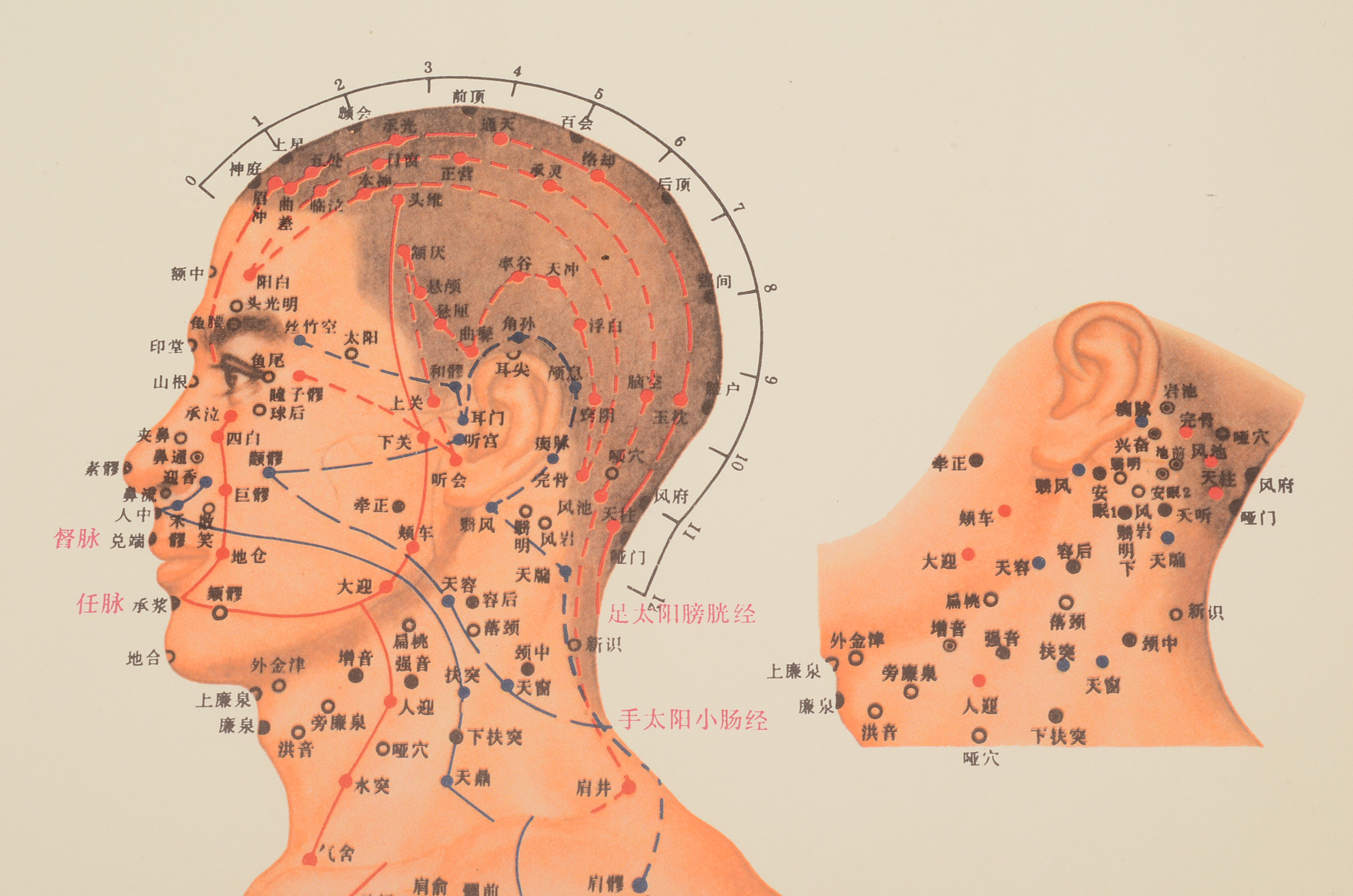 Vintage Chinese Acupuncture Chart