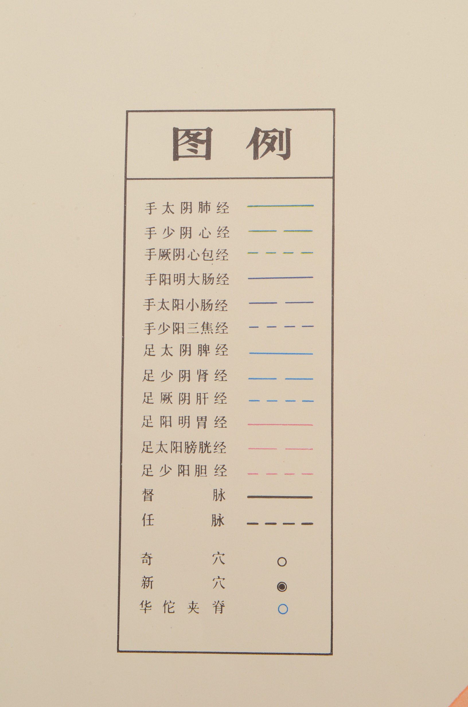 Vintage Chinese Acupuncture Chart