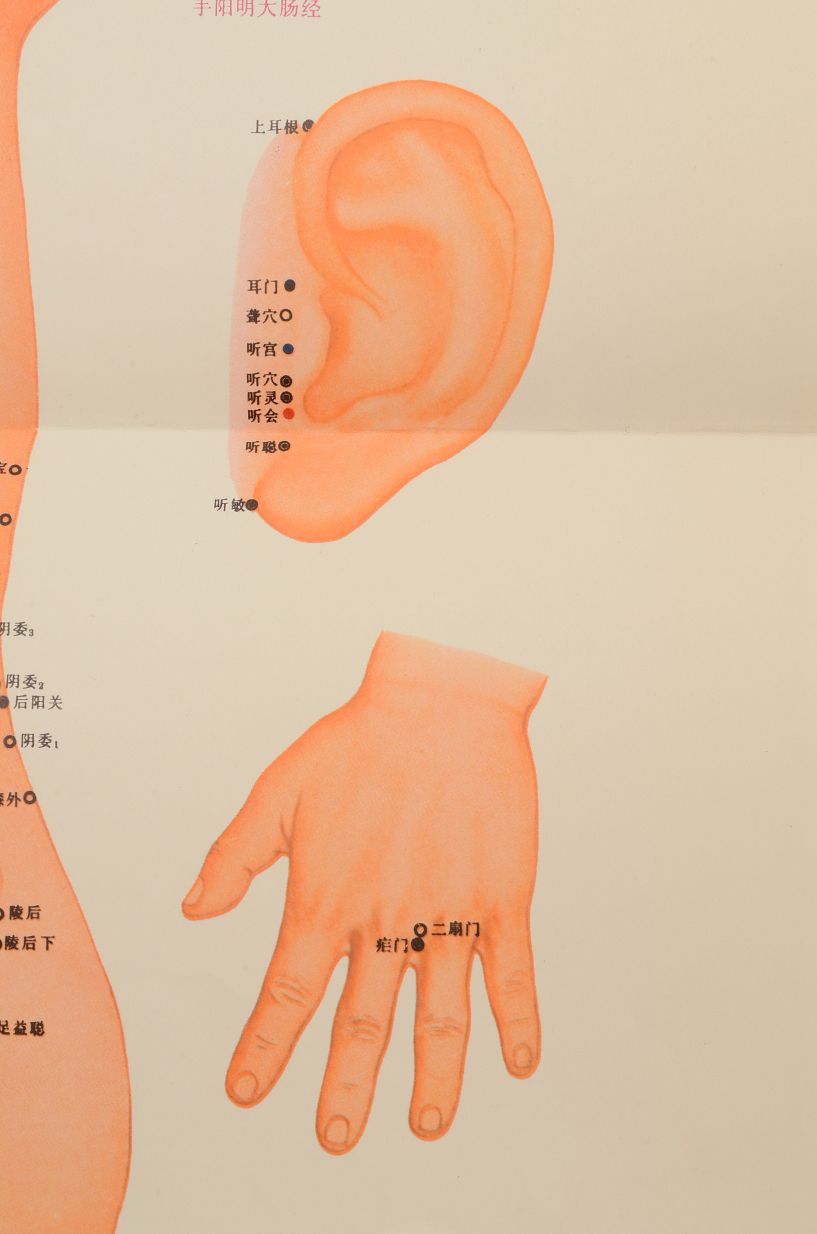 Vintage Chinese Acupuncture Chart