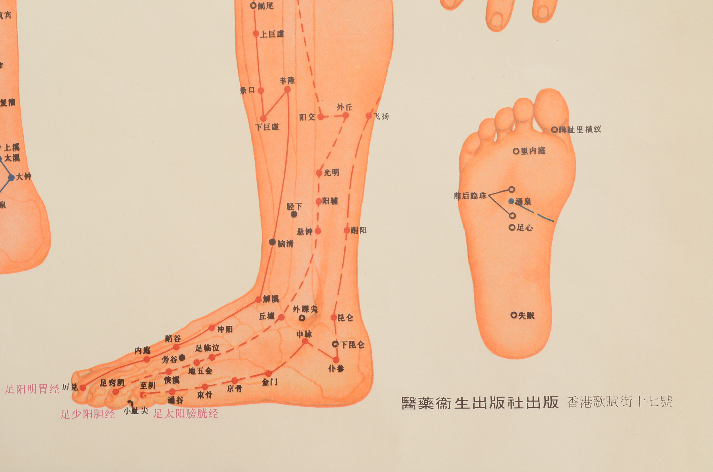 Vintage Chinese Acupuncture Chart