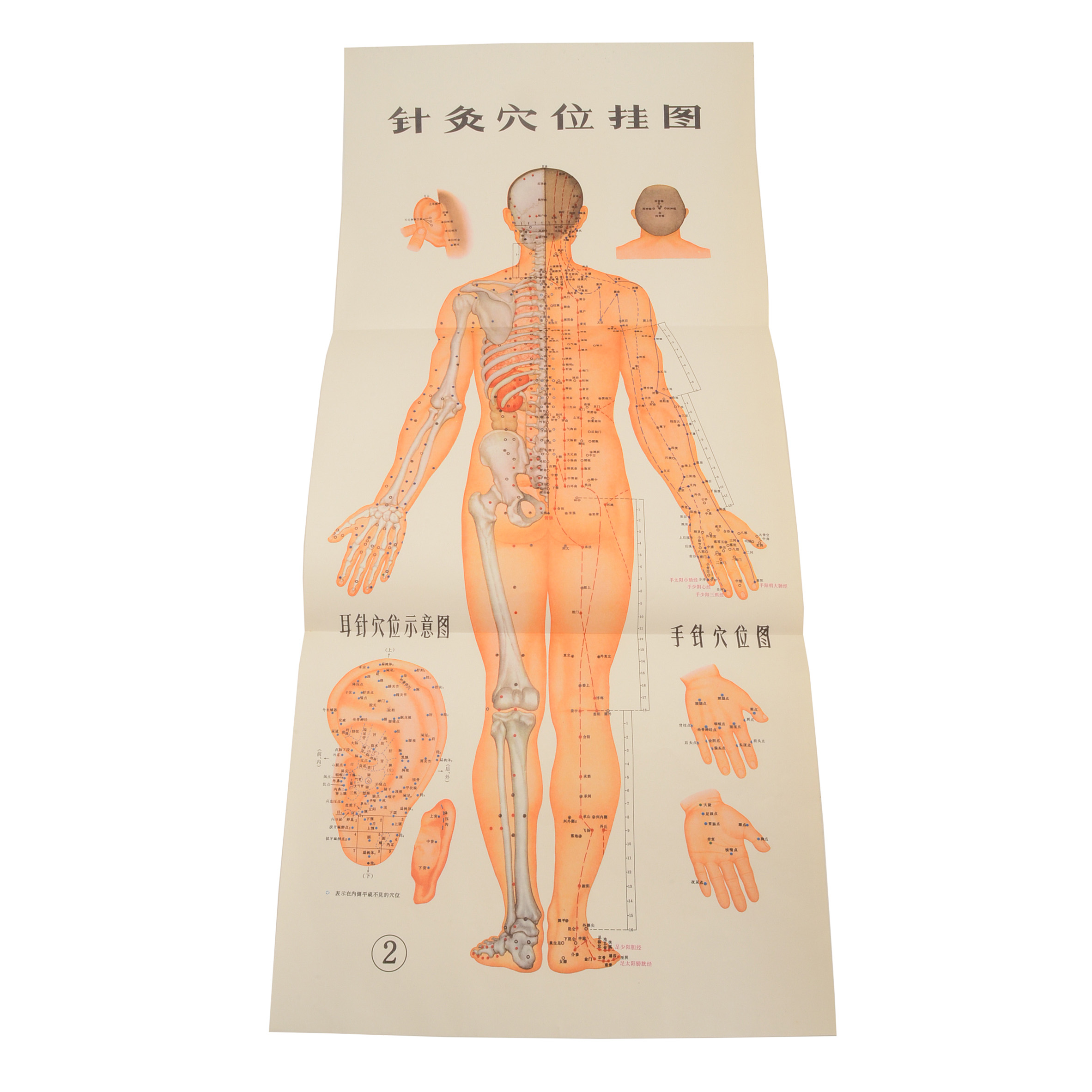 Vintage Chinese Acupuncture Chart