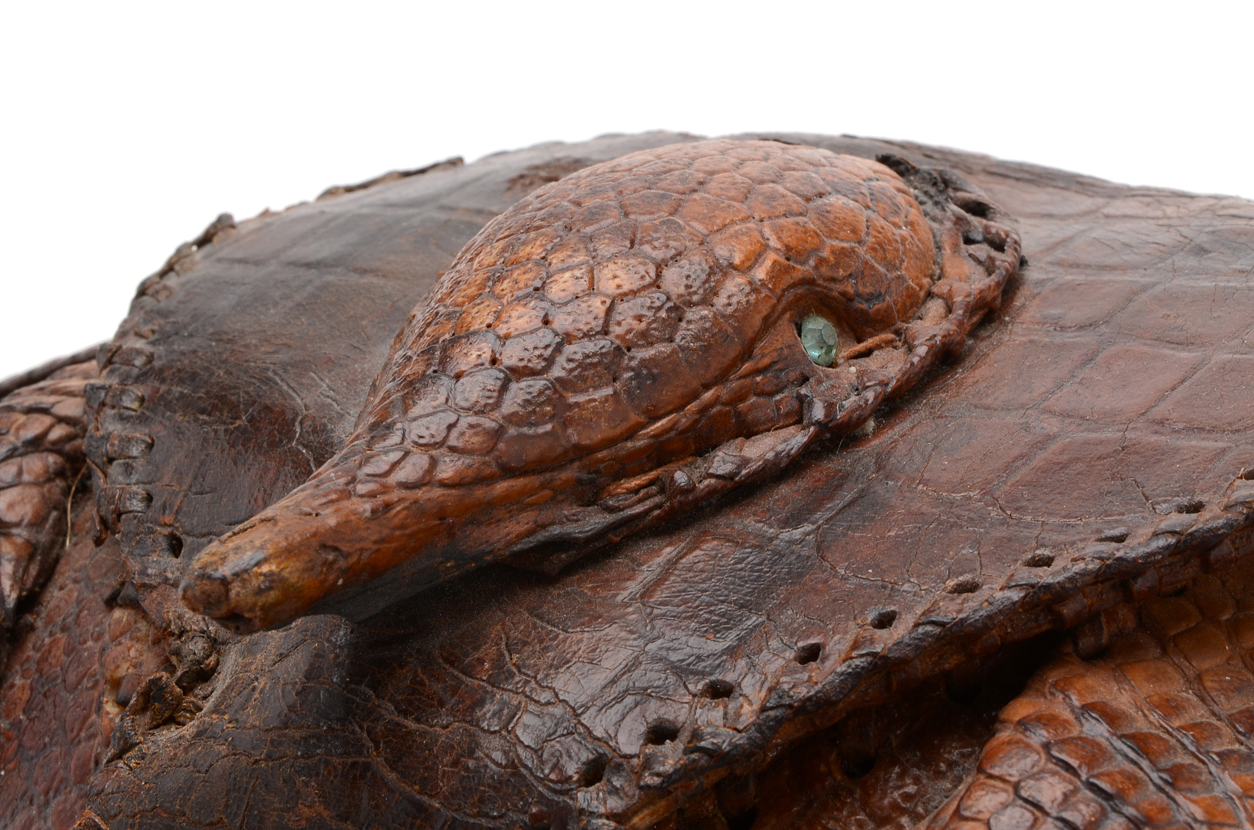 Taxidermy Armadillo Purse