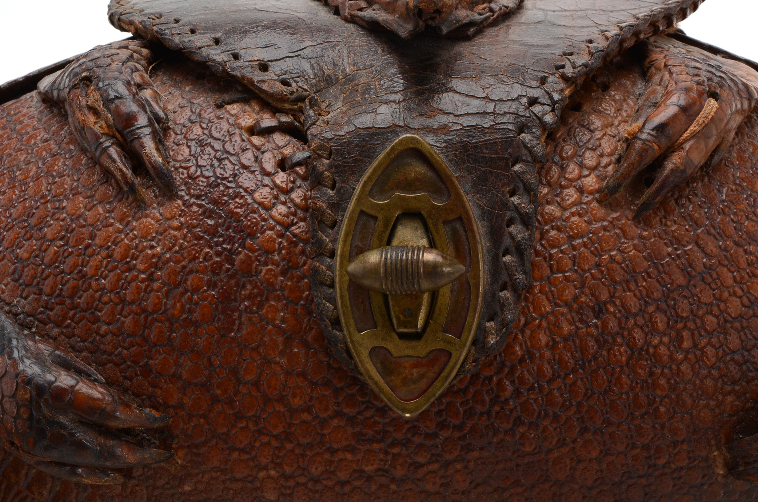 Taxidermy Armadillo Purse