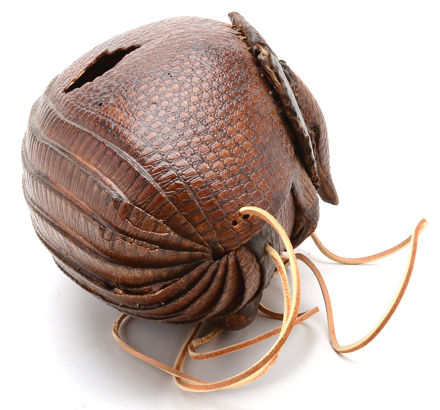 Taxidermy Armadillo Purse
