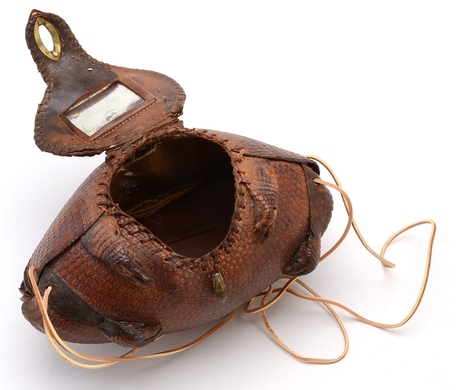 Taxidermy Armadillo Purse