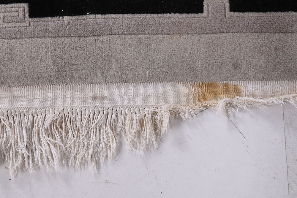 Hand-Knotted Chinese Nichols Area Rug