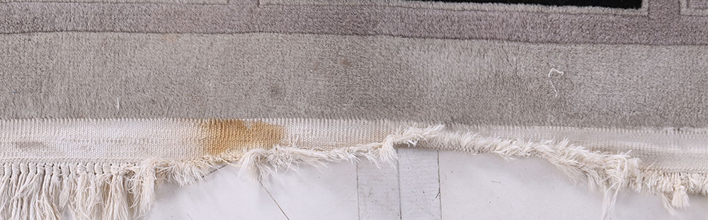 Hand-Knotted Chinese Nichols Area Rug