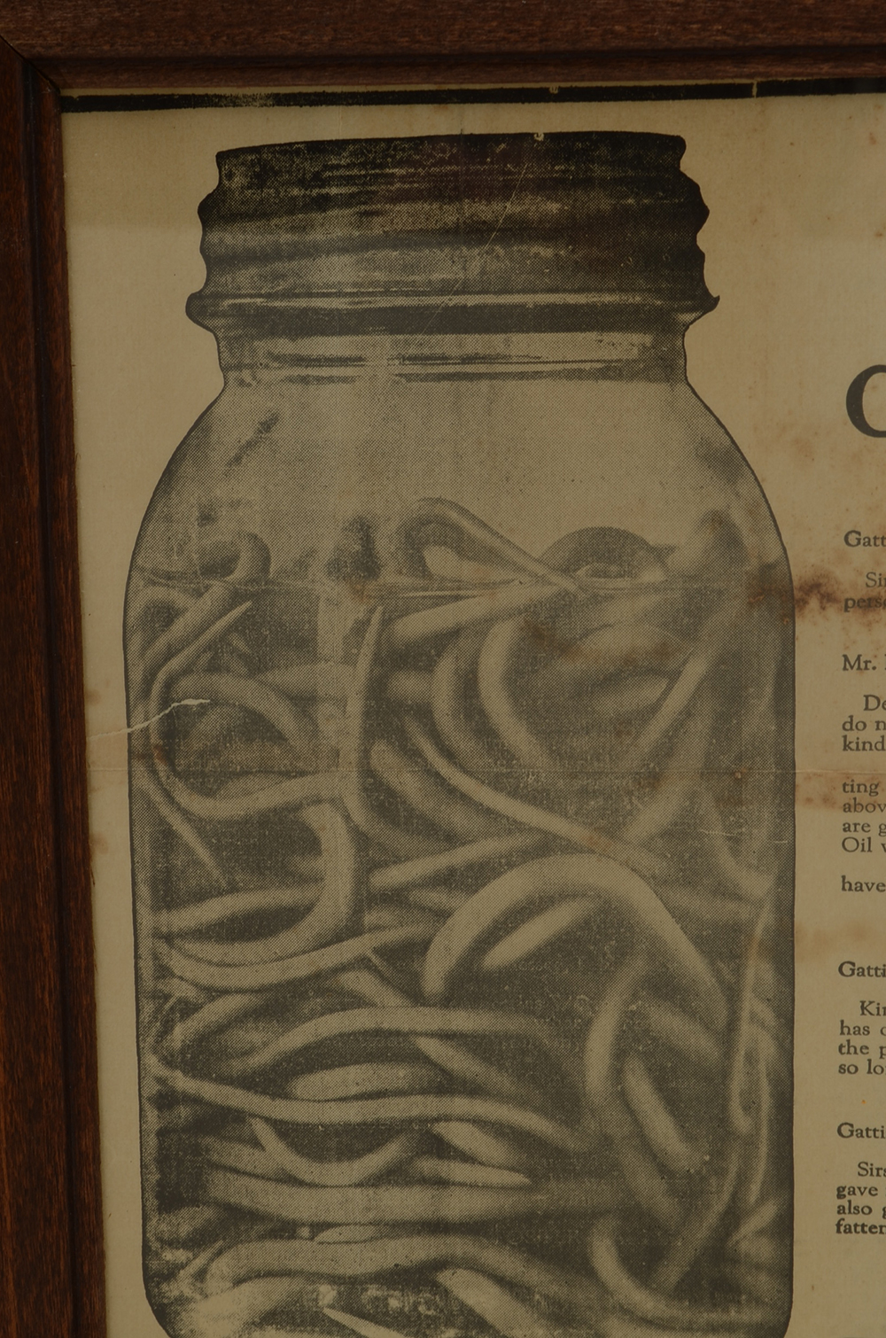 1922 Gattis Worm Oil Testimonial Advertisement