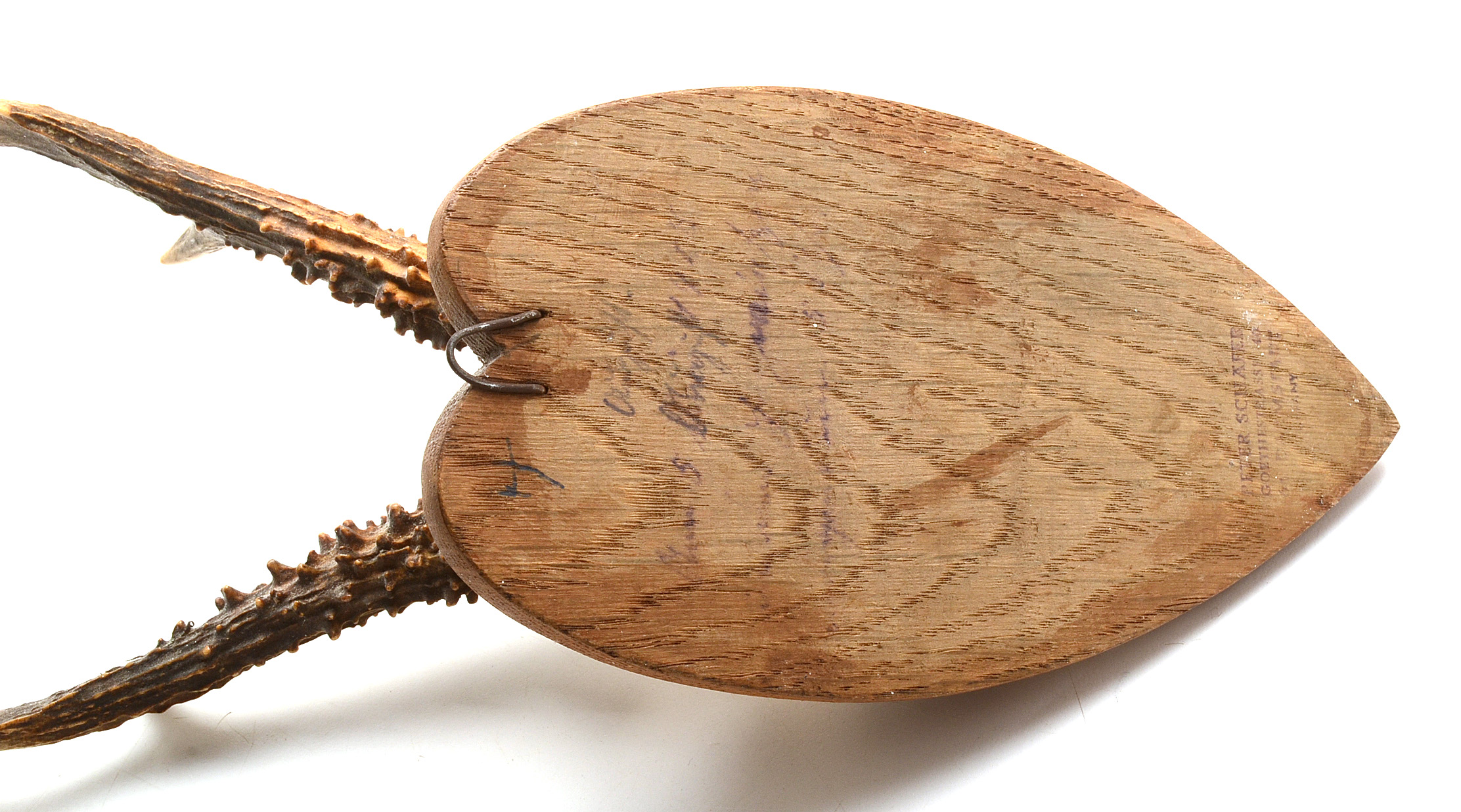 Three Roe Deer Skull Mounts