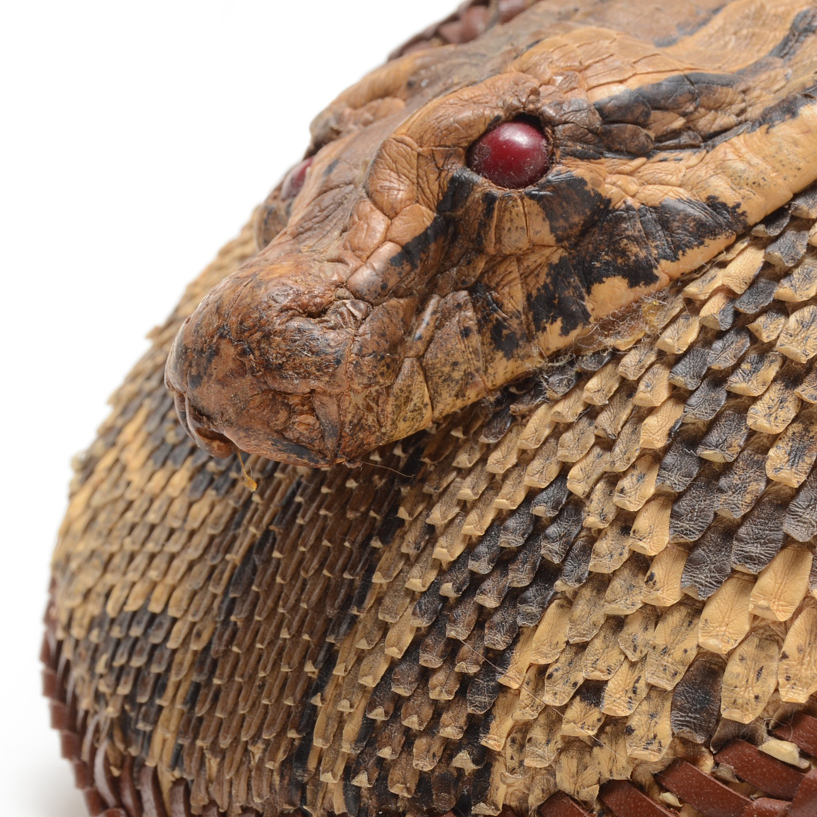 Authentic Python Head and Leather Belt Buckle