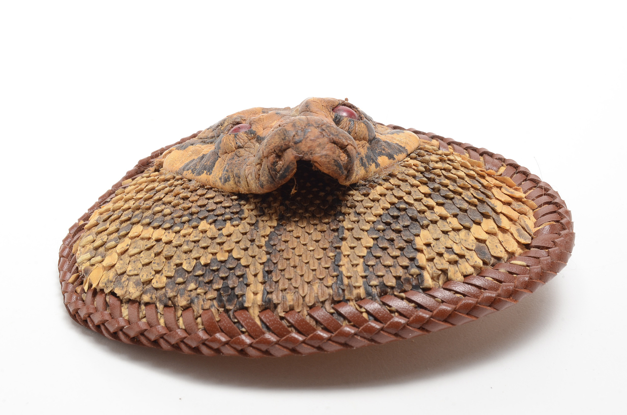 Authentic Python Head and Leather Belt Buckle