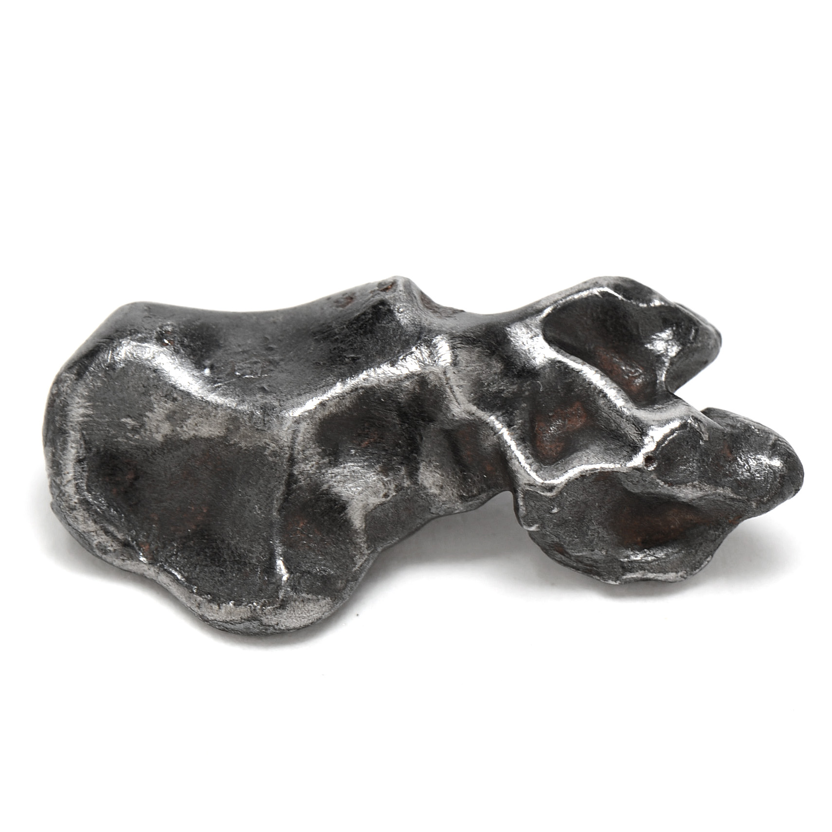 Meteorite Specimen