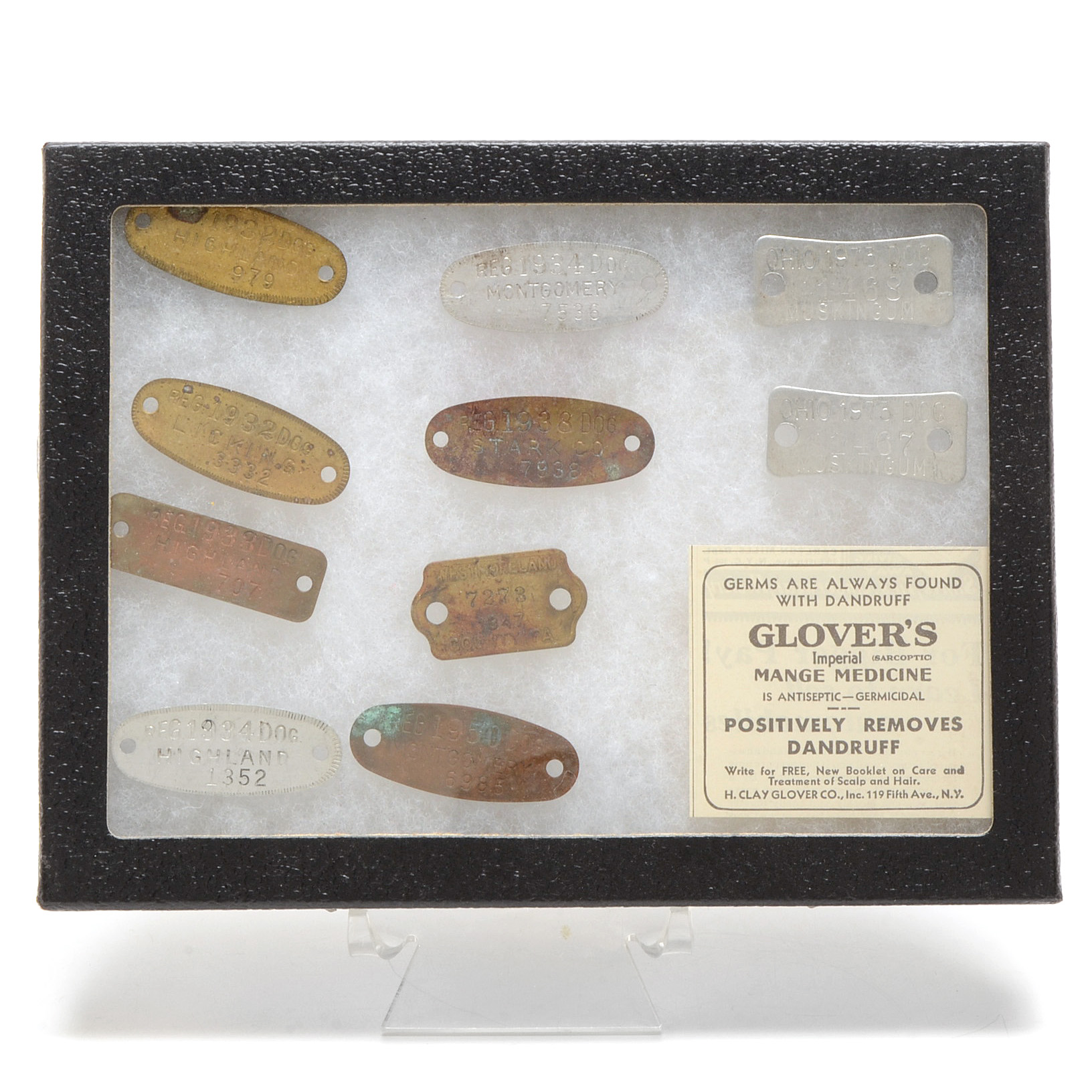Twelve Vintage Rabies Dog Tags with Riker Mount
