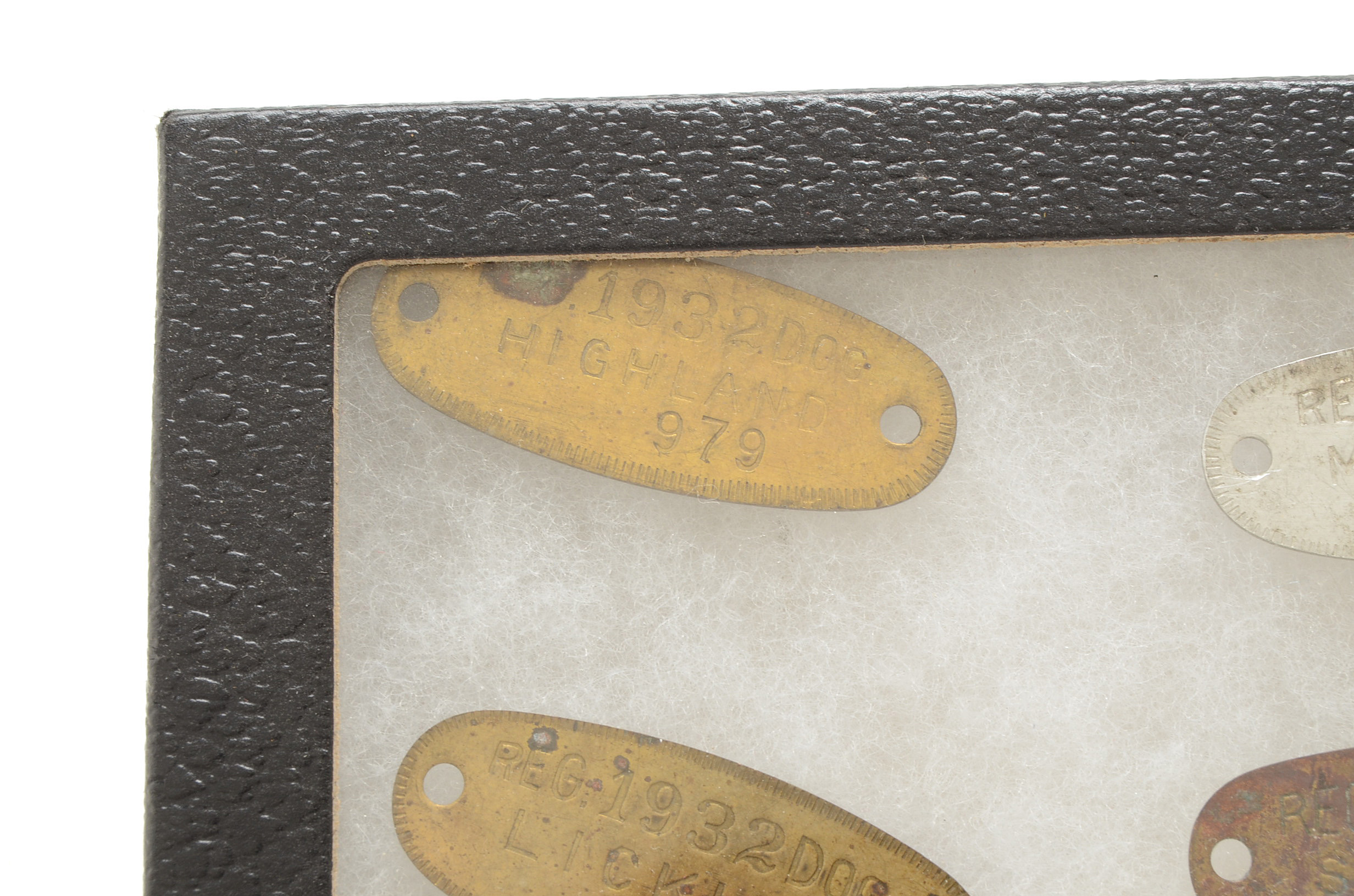Twelve Vintage Rabies Dog Tags with Riker Mount