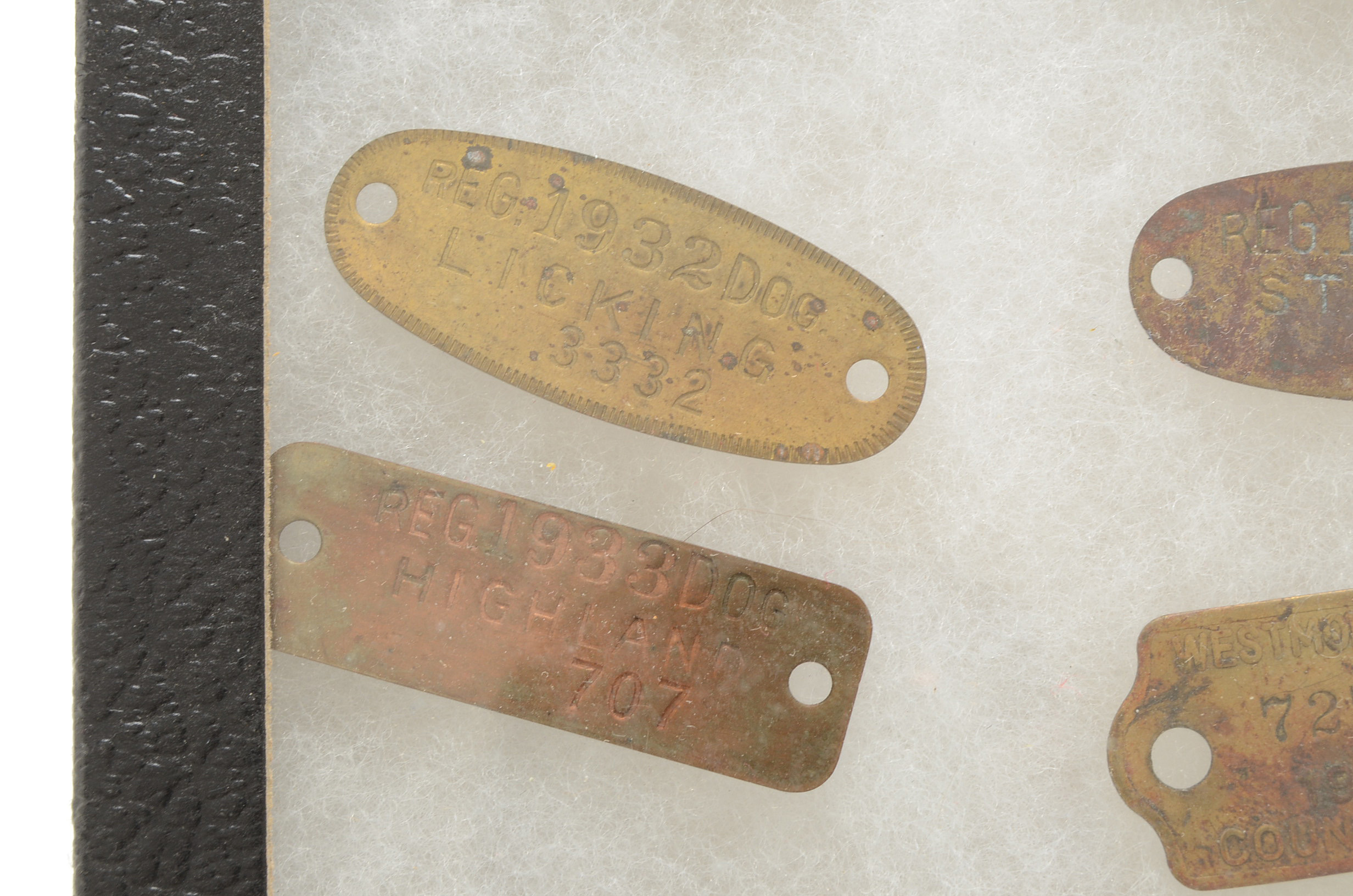 Twelve Vintage Rabies Dog Tags with Riker Mount
