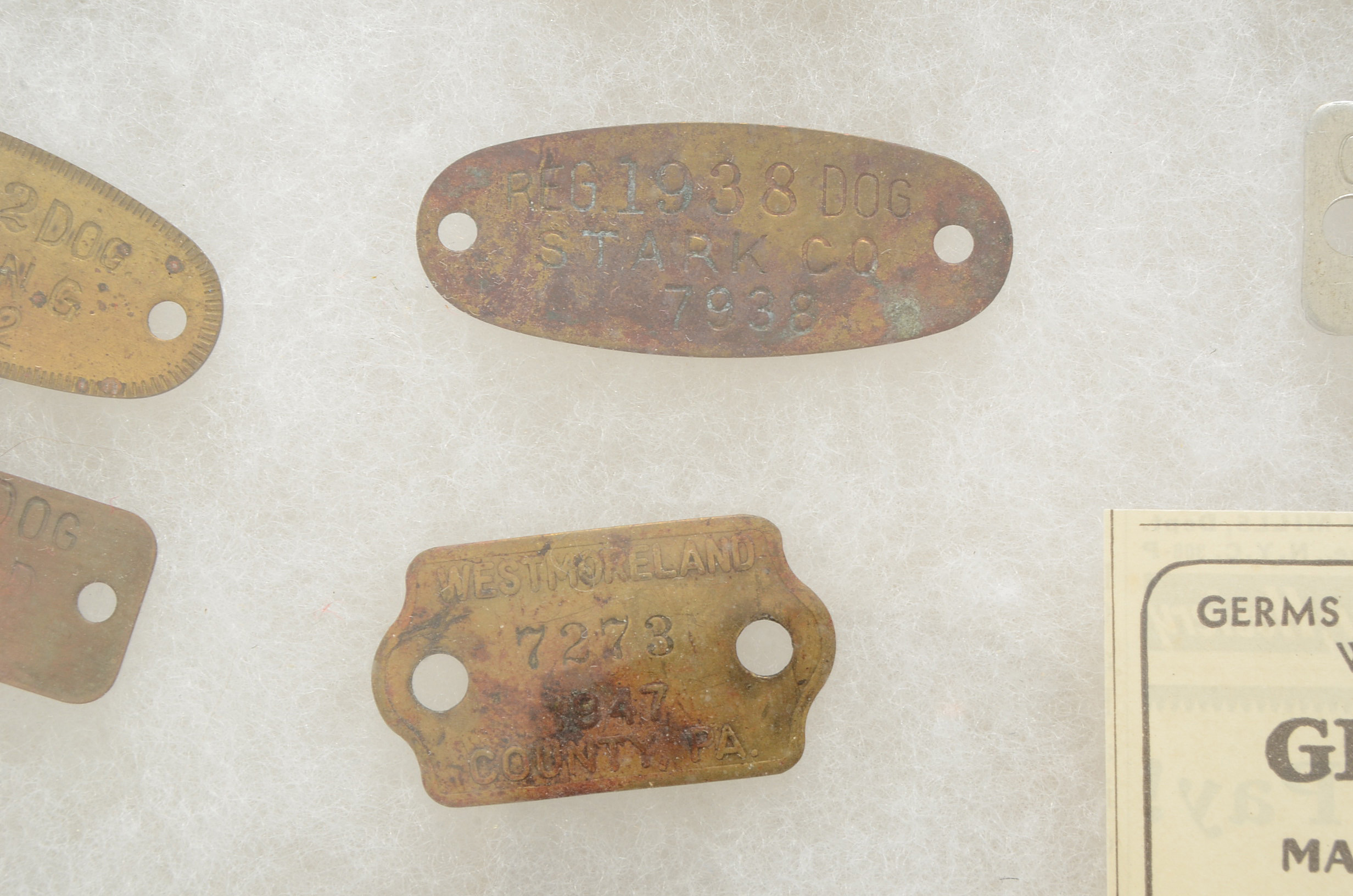 Twelve Vintage Rabies Dog Tags with Riker Mount