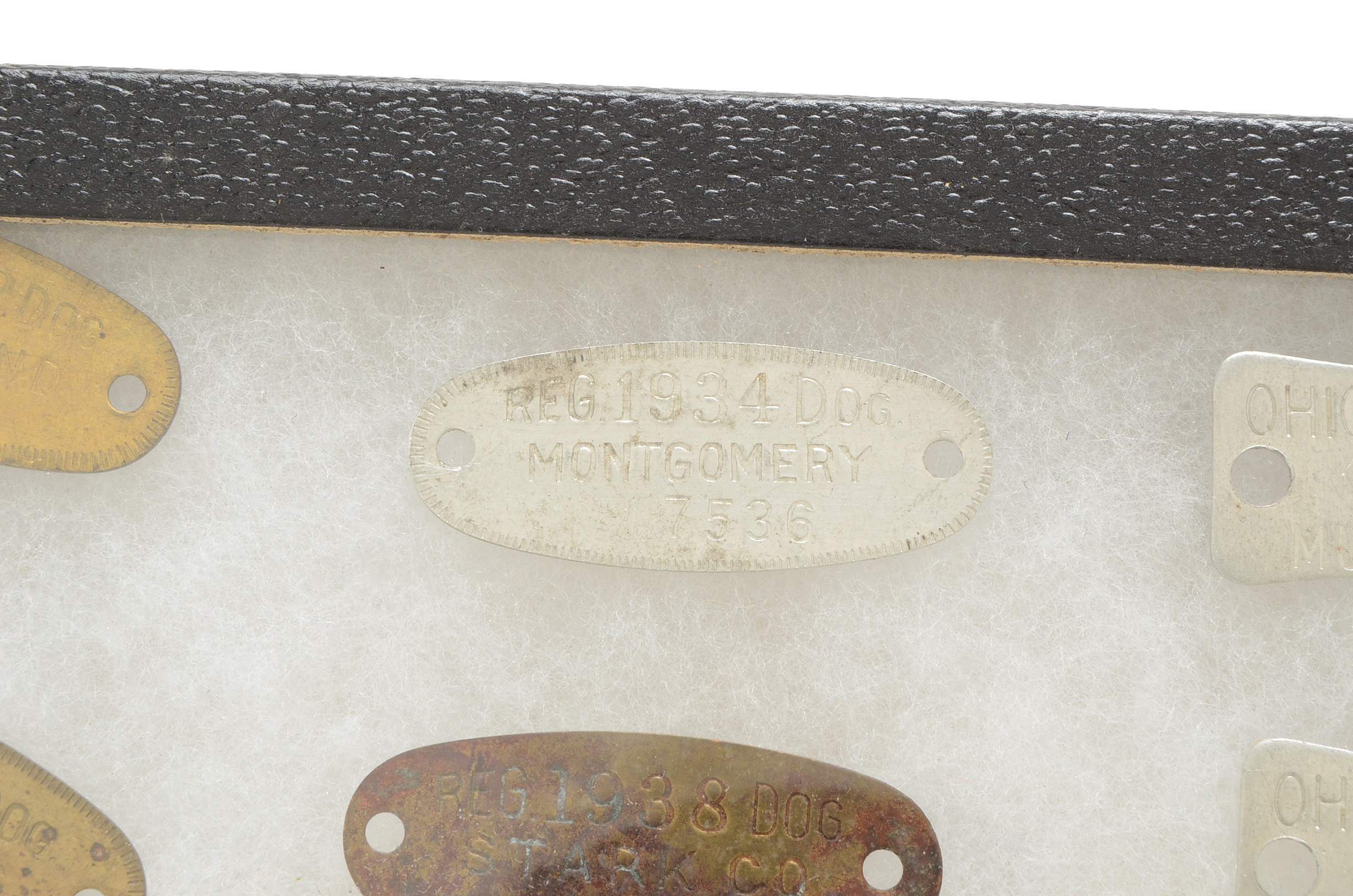 Twelve Vintage Rabies Dog Tags with Riker Mount