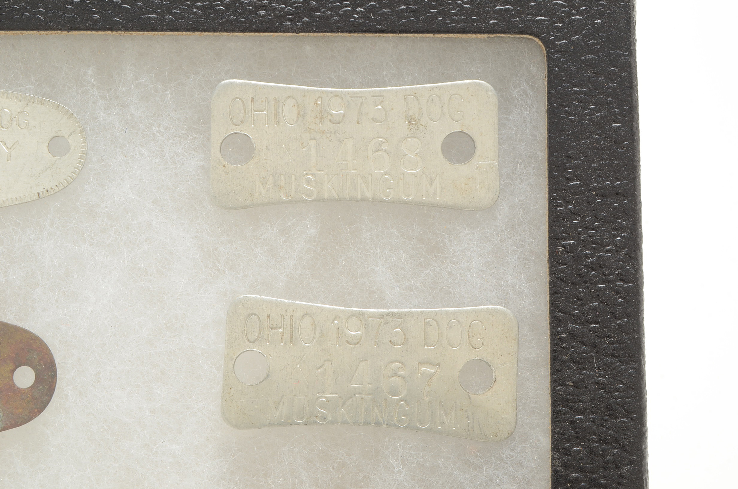 Twelve Vintage Rabies Dog Tags with Riker Mount