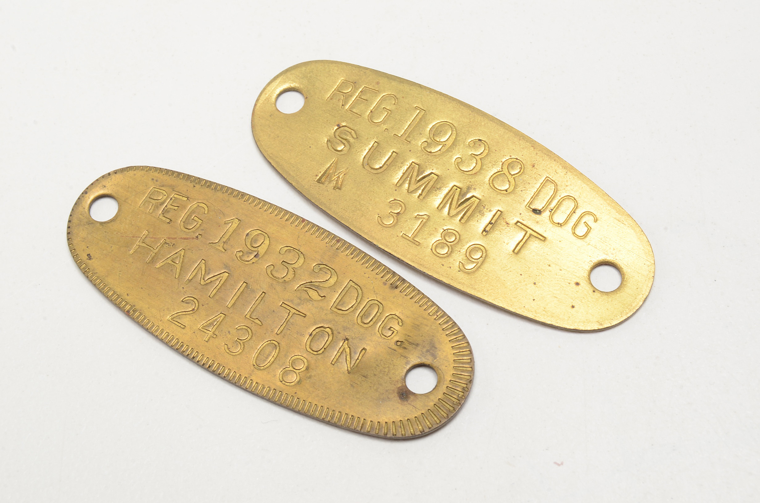 Twelve Vintage Rabies Dog Tags with Riker Mount