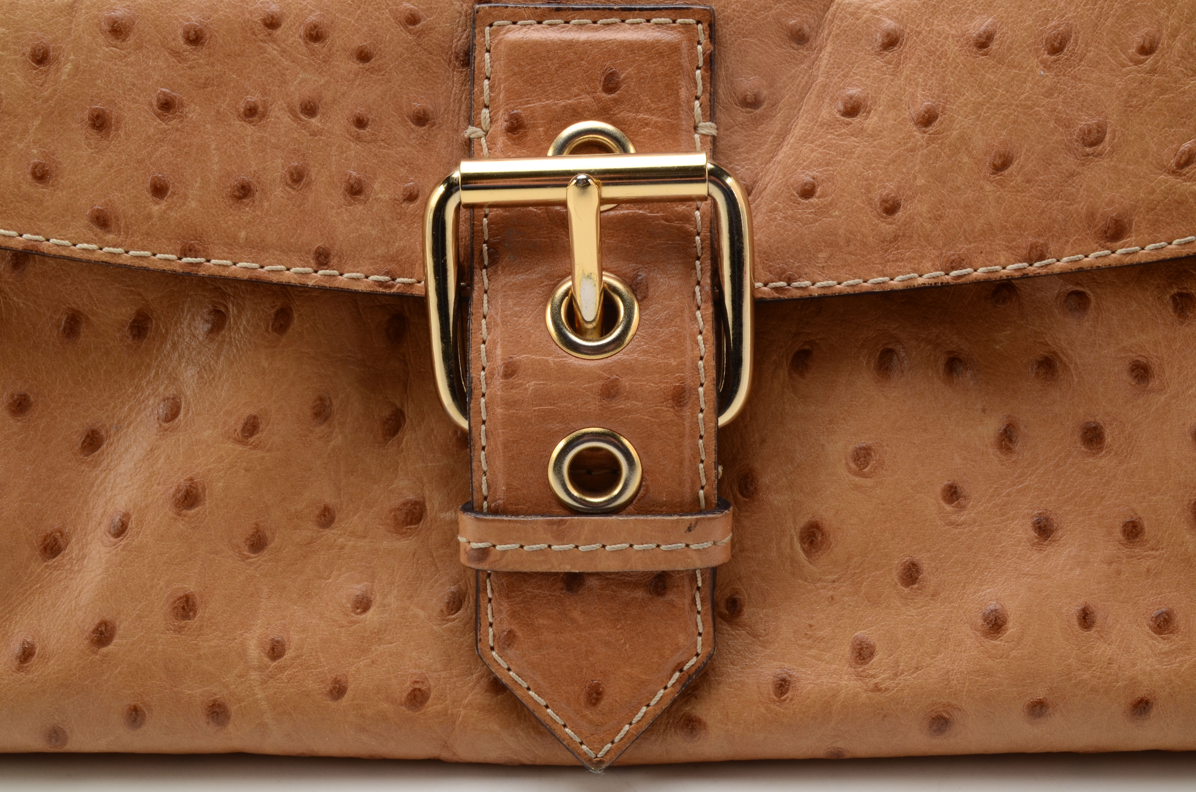 Dooney & Bourke Ostrich Stamped Leather Flap Bag