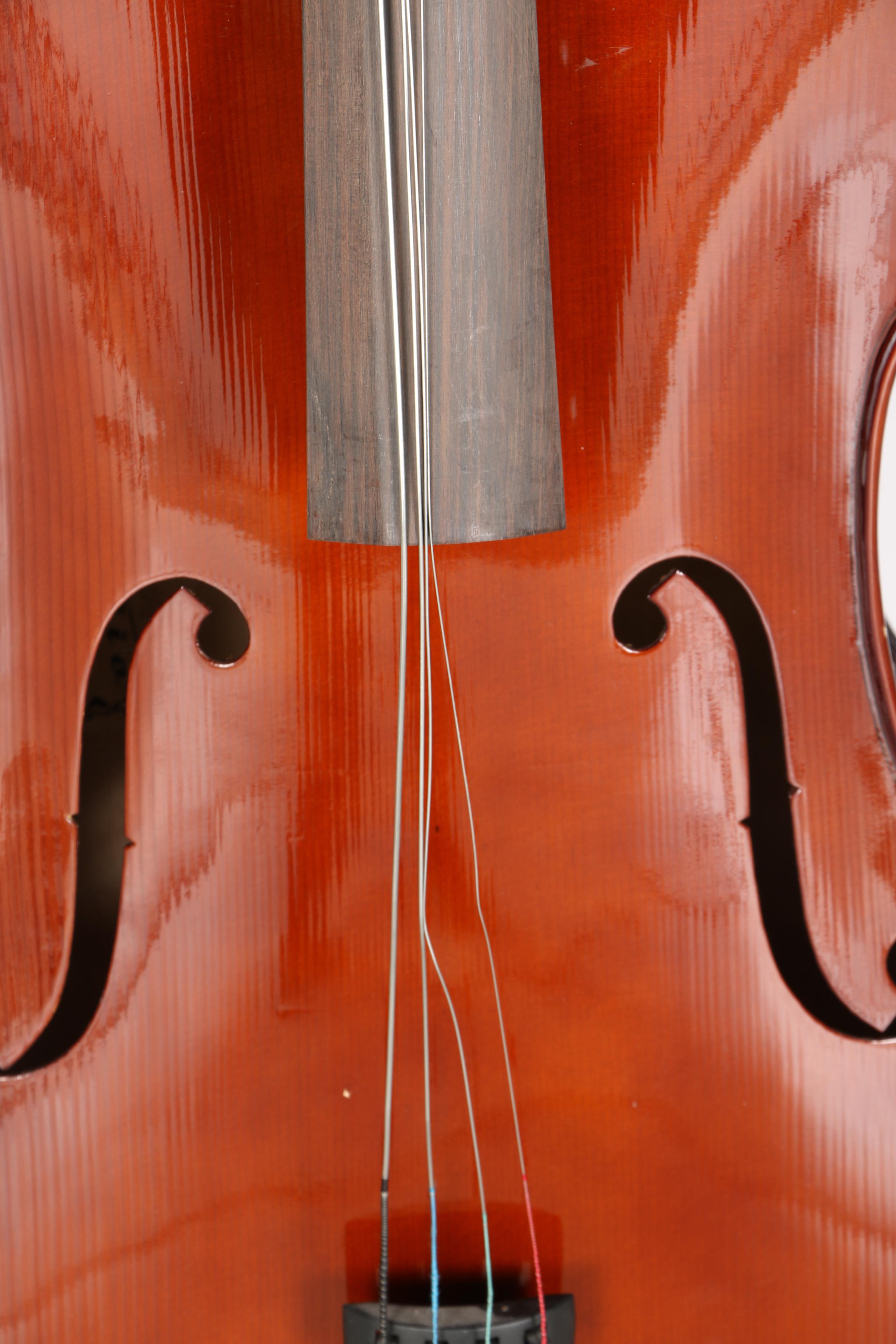 Cecilio Cello, Bow and Case