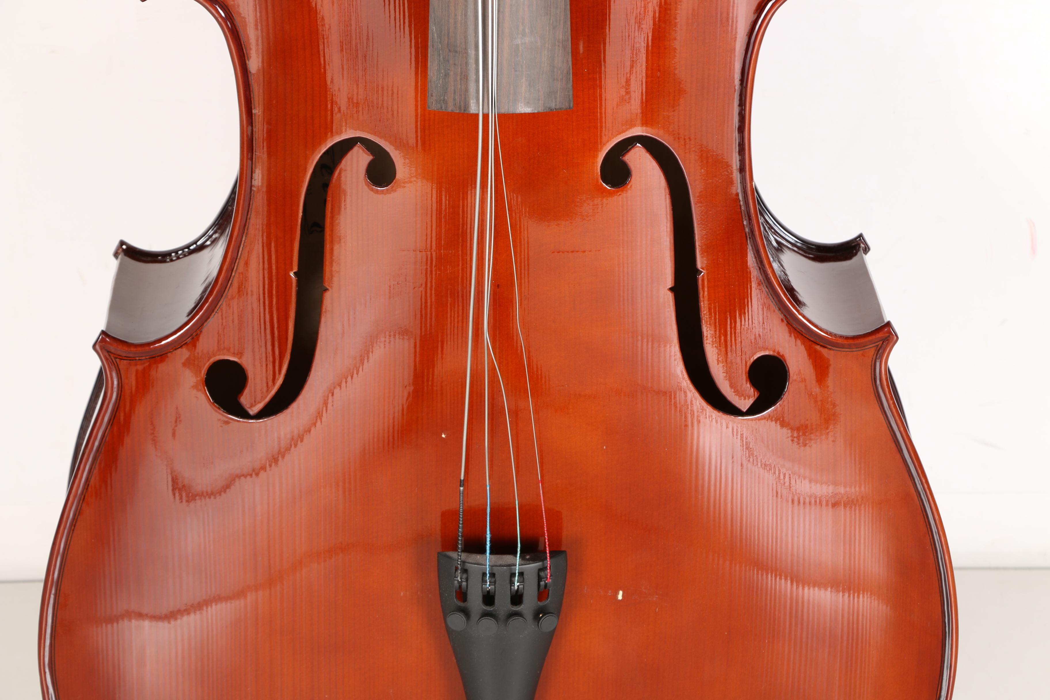 Cecilio Cello, Bow and Case