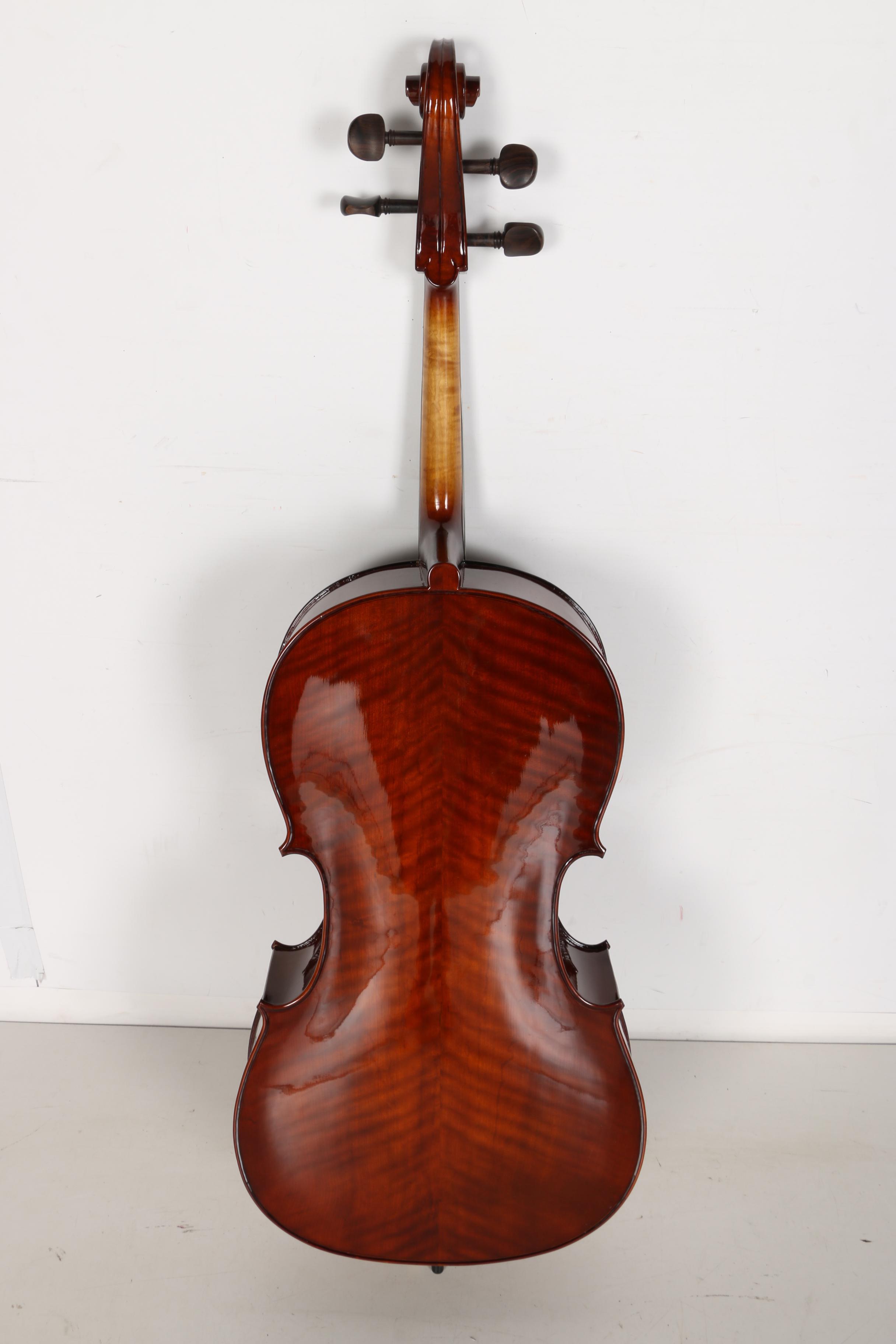 Cecilio Cello, Bow and Case