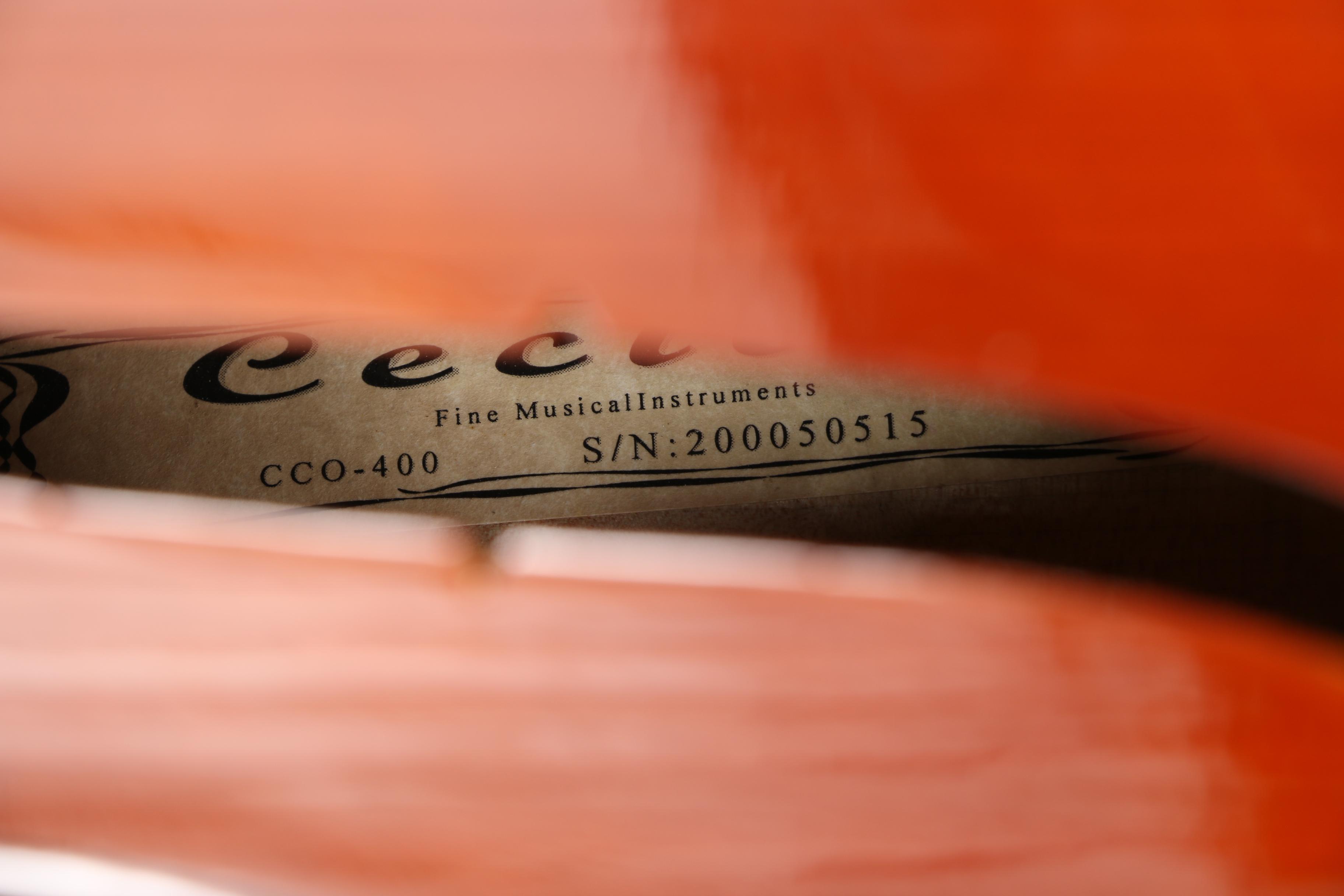 Cecilio Cello, Bow and Case