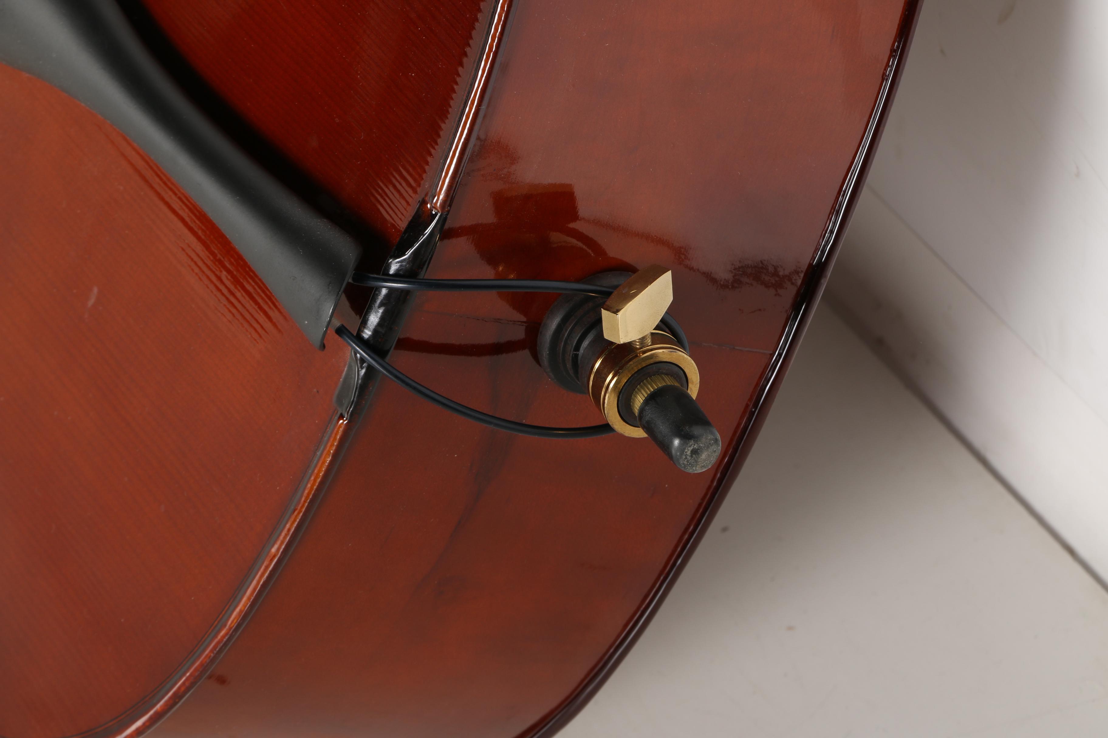 Cecilio Cello, Bow and Case