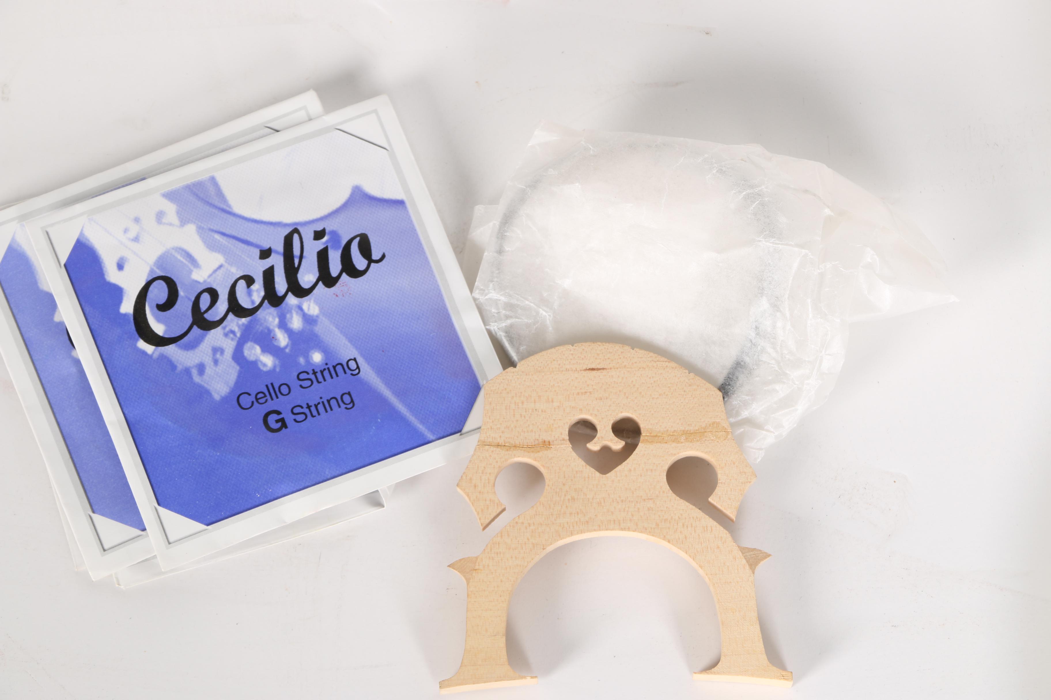 Cecilio Cello, Bow and Case